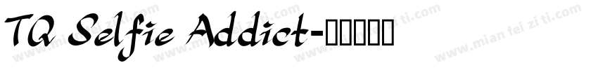 TQ Selfie Addict字体转换
